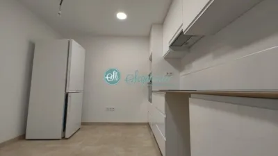 Piso en alquiler en Centro - Acueducto, Centro (Segovia Capital) de 900 €<span>/mes</span>