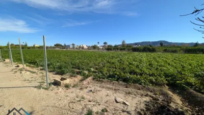 Rustic Finca in Llano de Brujas photo 13