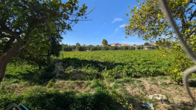 Rustic Finca in Llano de Brujas photo 15