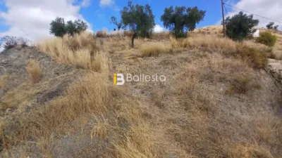 House in Los Cabreras photo 9