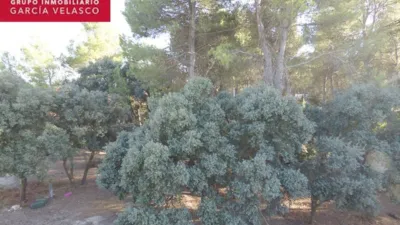 Chalet en Pinares del Jucar photo 59