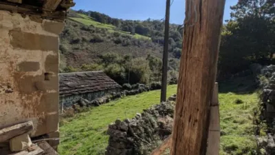 Rustic farm on Calle El Rosario, No. 374 photo 10