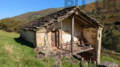 Rustic farm on Calle El Rosario, No. 374 photo 12