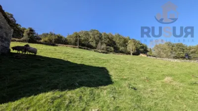 Rustic farm on Calle El Rosario, No. 374 photo 18