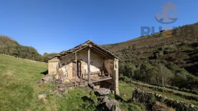 Rustic farm on Calle El Rosario, No. 374 photo 20