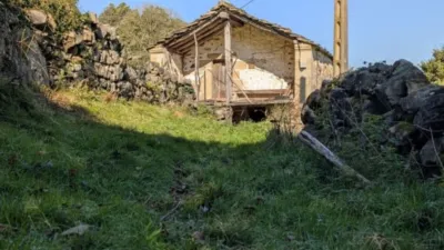 Rustic farm on Calle El Rosario, No. 374 photo 30