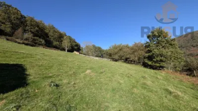 Rustic farm on Calle El Rosario, No. 374 photo 6