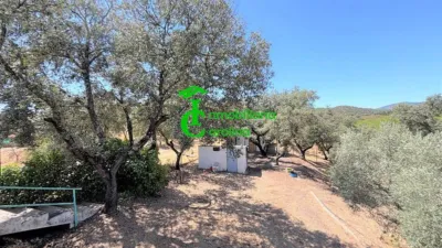 Rustic Finca in Santa Elena photo 10