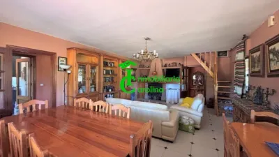 Rustic Finca in Santa Elena photo 17