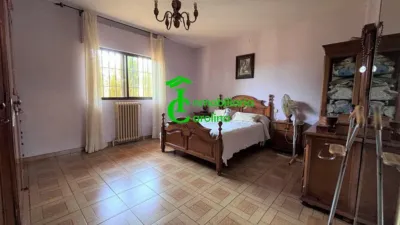 Rustic Finca in Santa Elena photo 31