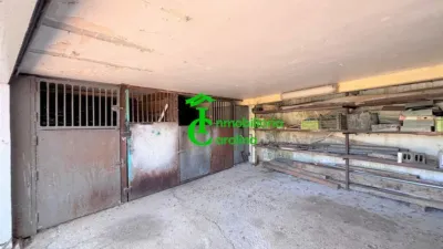 Rustic Finca in Santa Elena photo 50