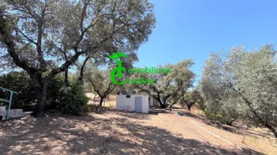 Rustic Finca in Santa Elena photo 51