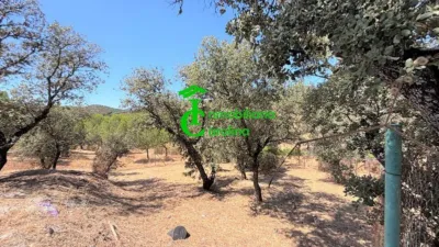 Rustic Finca in Santa Elena photo 59
