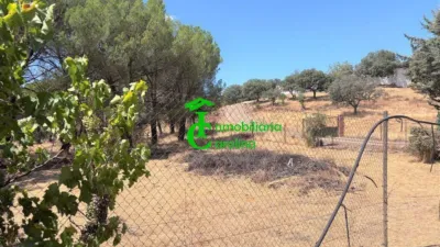 Rustic Finca in Santa Elena photo 60