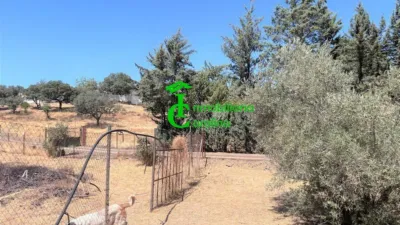 Rustic Finca in Santa Elena photo 61