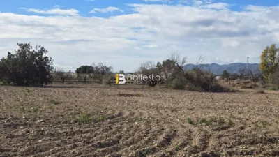 Rustic farm in Diseminado de la Hoya photo 3
