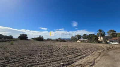 Rustic farm in Diseminado de la Hoya photo 4