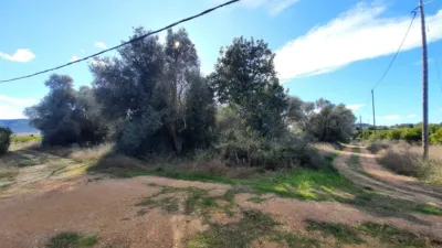 Rustic farm on Pont de Godall Street photo 14