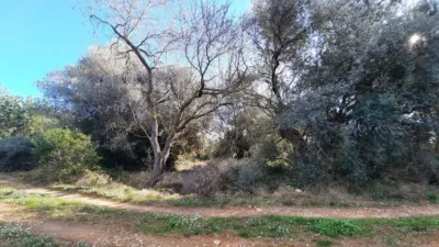 Rustic farm on Pont de Godall Street photo 5