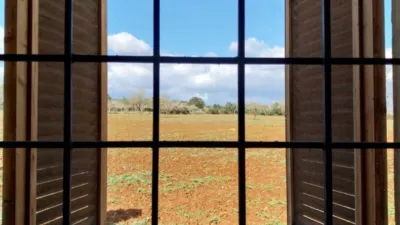 Rustic Finca in Sineu photo 10