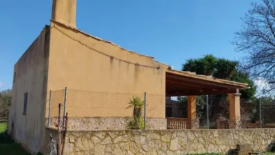 Rustic Finca in Sineu photo 4