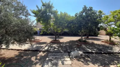 Rustic Finca in Munera photo 23