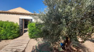 Rustic Finca in Munera photo 24