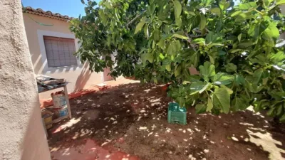 Rustic Finca in Munera photo 43