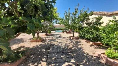 Rustic Finca in Munera photo 8