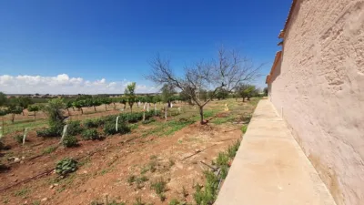 Rustic Finca in Munera photo 91