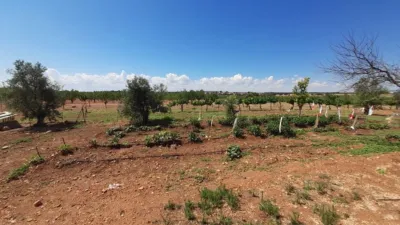 Rustic Finca in Munera photo 92