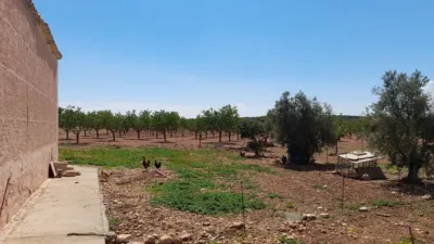 Rustic Finca in Munera photo 93