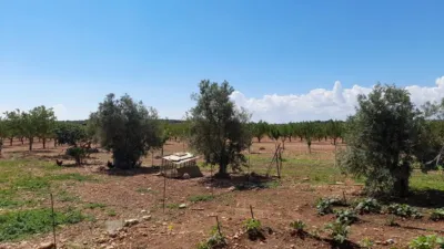 Rustic Finca in Munera photo 94