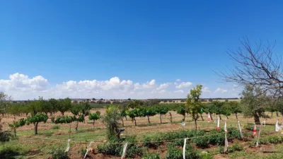 Rustic Finca in Munera photo 95