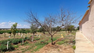 Rustic Finca in Munera photo 96