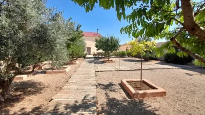 Rustic Finca in Munera photo 9