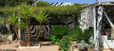House in Santa Elena photo 19
