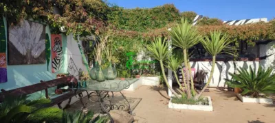 House in Santa Elena photo 21