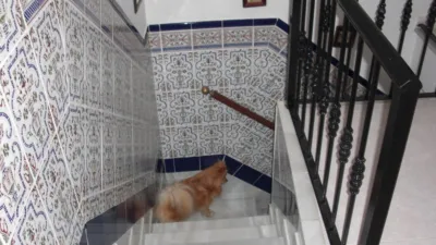 House in the Old Town photo 26
