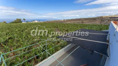 Rustic Finca in Playa Paraiso photo 19