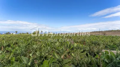 Rustic Finca in Playa Paraiso photo 21