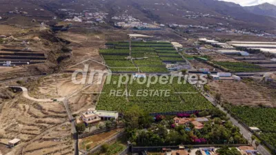 Rustic Finca in Playa Paraiso photo 2