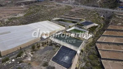 Rustic Finca in Playa Paraiso photo 4