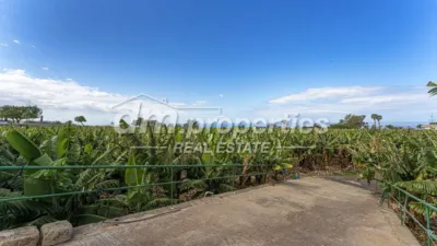 Rustic Finca in Playa Paraiso photo 8