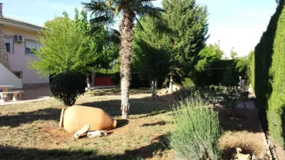 Chalet in San Isidro photo 11