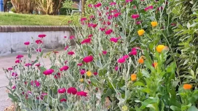 Apartment in Fonteculler photo 19