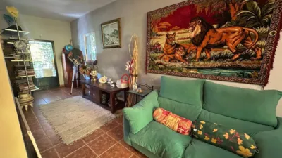 Chalet on Carrer de las Palmeras photo 26