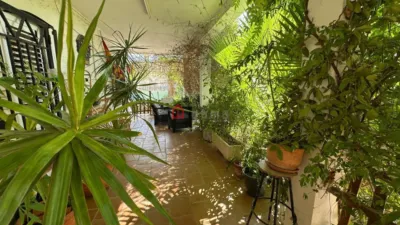 Chalet on Carrer de las Palmeras photo 28