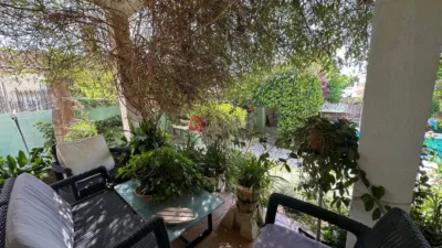 Chalet on Carrer de las Palmeras photo 29