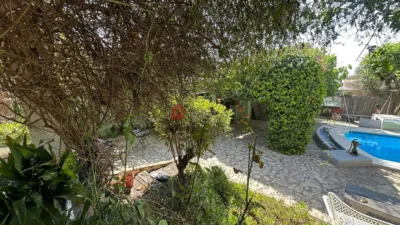 Chalet on Carrer de las Palmeras photo 31
